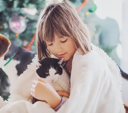 Our Gallery Our Gallery